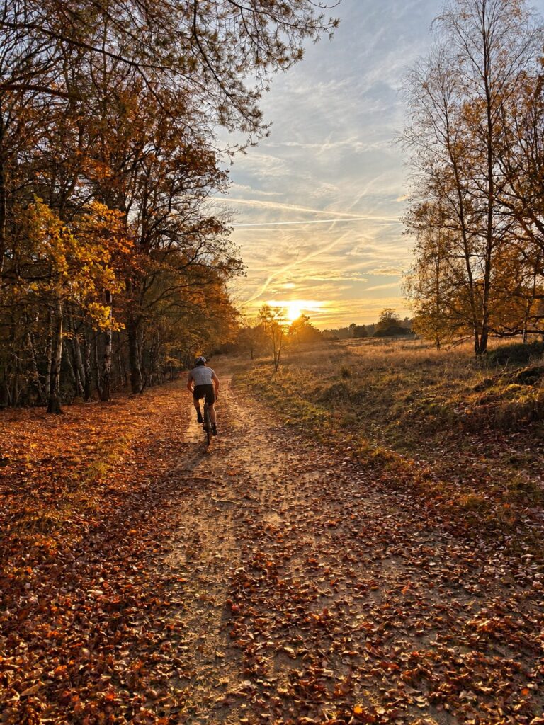 Fietser op een bladerrijk zandpad tussen de bomen bij opkomende zon